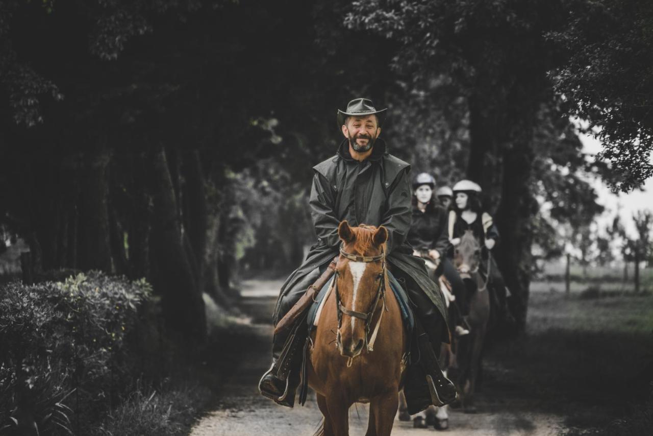 Glamping In Toscana, Luxury Tents In Agriturismo Biologico Sorano  Exteriér fotografie